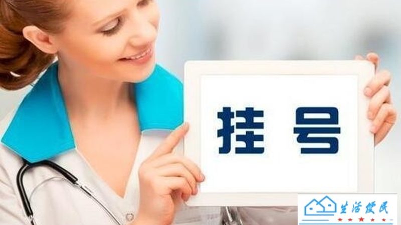搬家宠物托运，航空箱尺寸选择有讲究